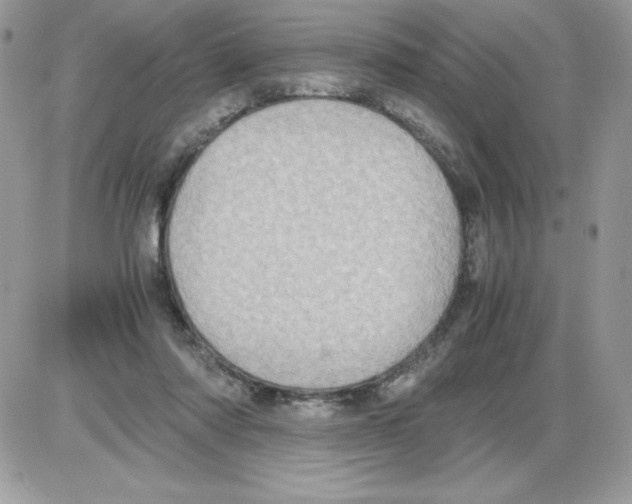 X0000085810310200704131953