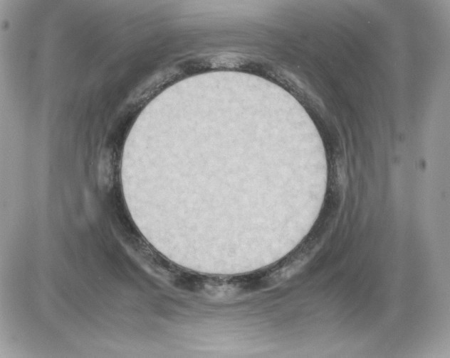 X0000085810311200704131953