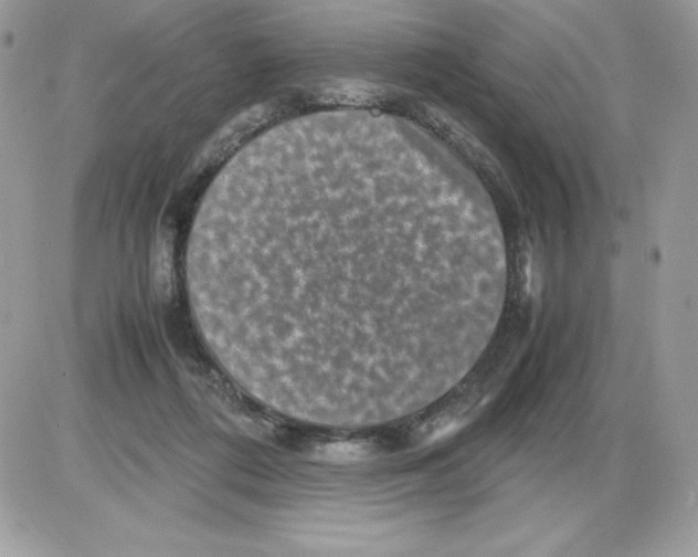 X0000085810312200704131953