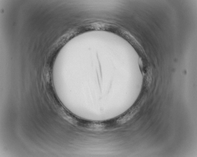 X0000085810313200704131953