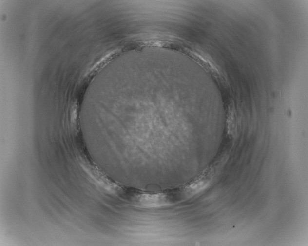 X0000085810314200704131953