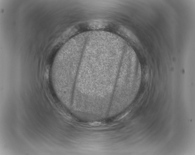 X0000085810315200704131953