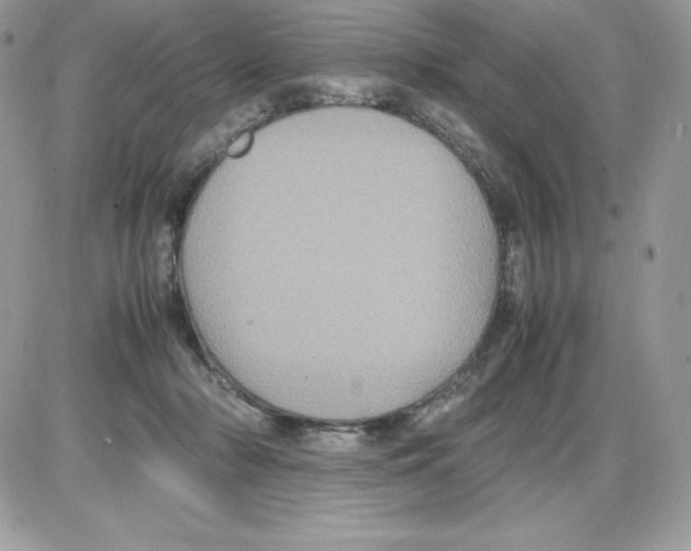 X0000085810318200704131953