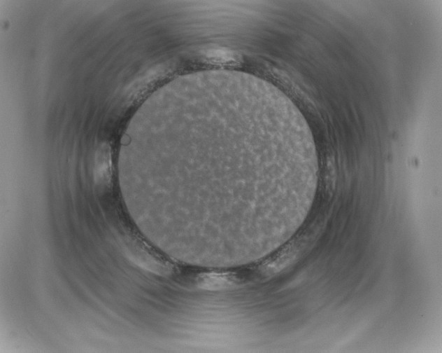 X0000085810320200704131953