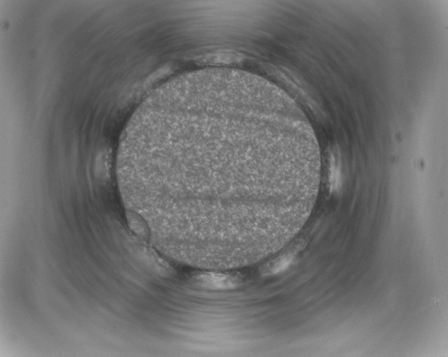 X0000085810326200704131953