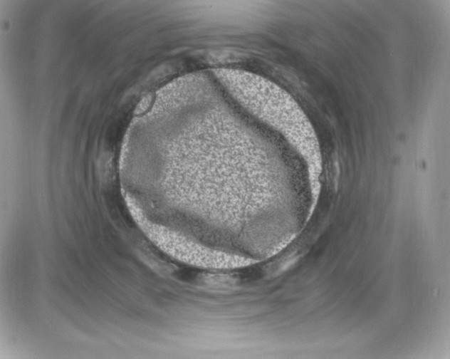 X0000085810327200704131953