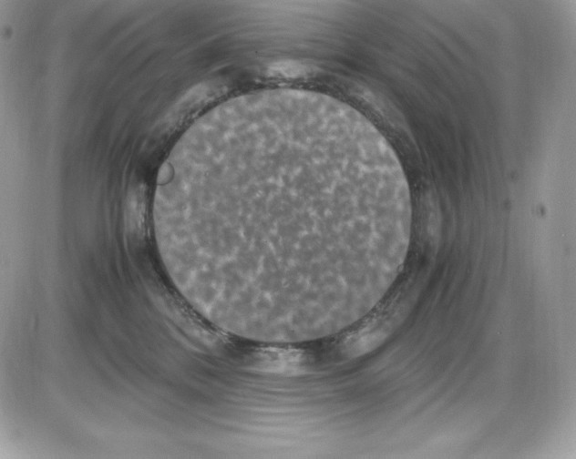 X0000085810328200704131953