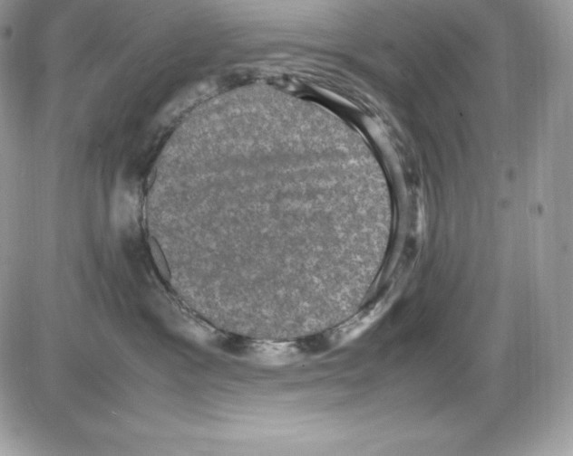 X0000085810333200704131953