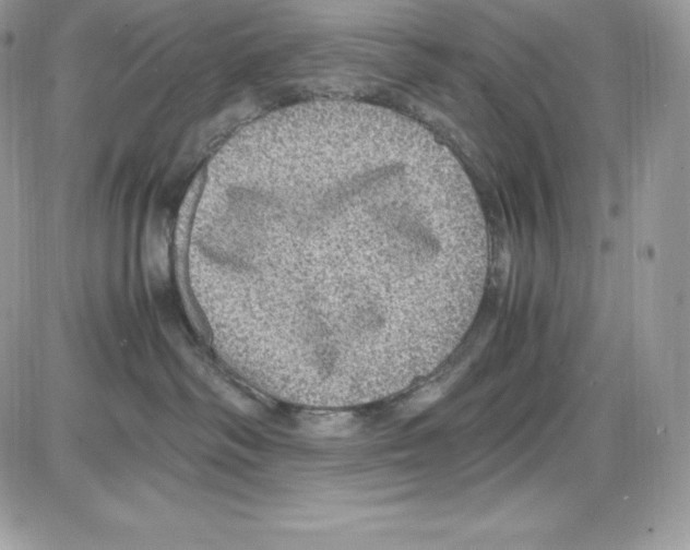 X0000085810334200704131953