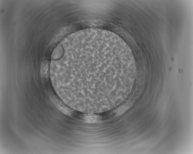 X0000085810336200704131953