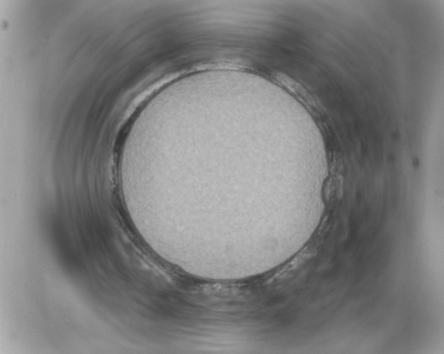 X0000085810338200704131952