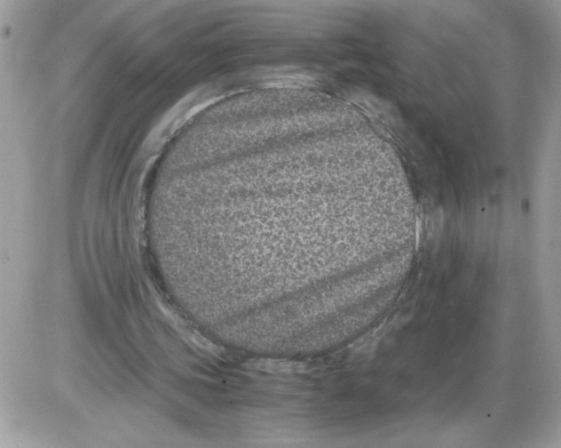 X0000085810339200704131952