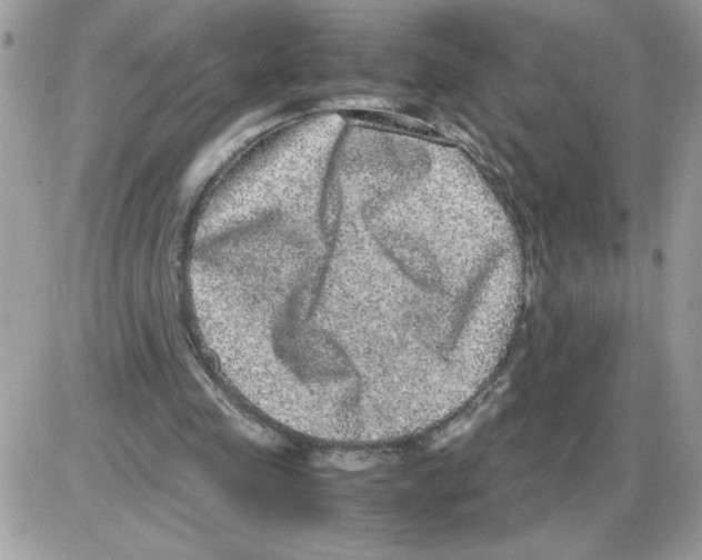 X0000085810341200704131952