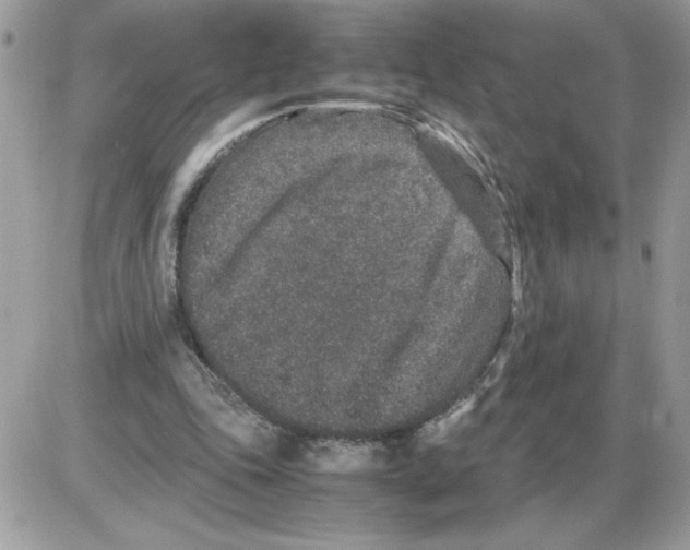 X0000085810343200704131952