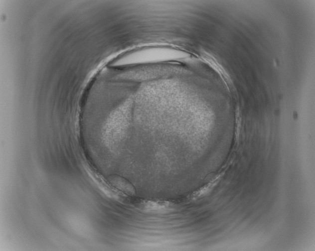 X0000085810346200704131952