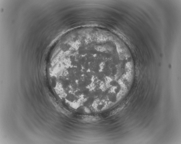 X0000085810347200704131952