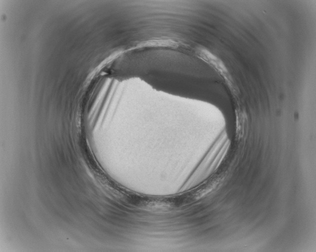 X0000085810348200704131952