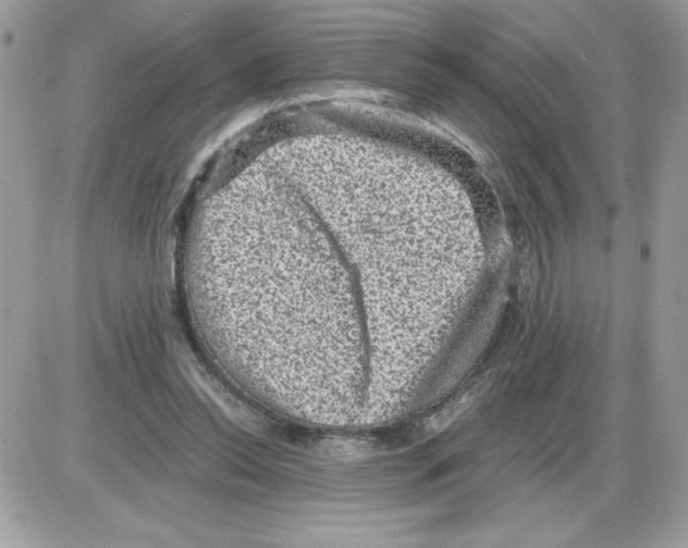 X0000085810350200704131952