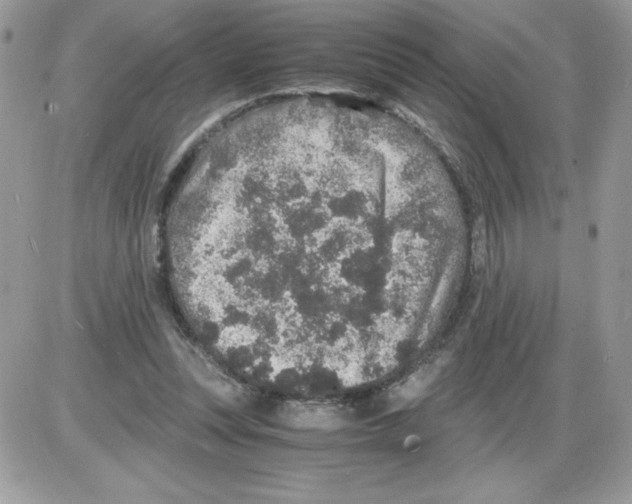 X0000085810351200704131952