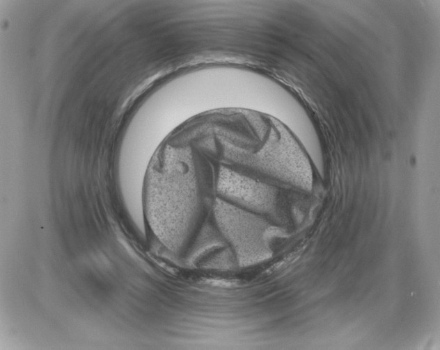 X0000085810352200704131952