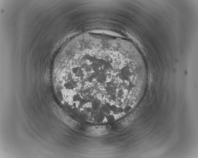 X0000085810353200704131952