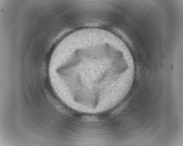 X0000085810354200704131952