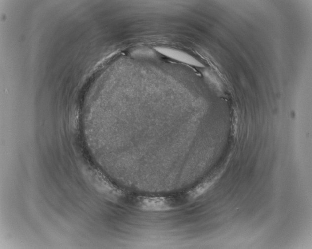 X0000085810355200704131952