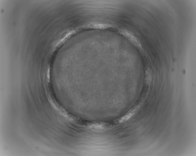 X0000085810358200704131952