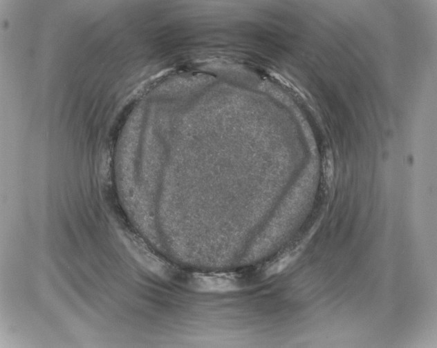 X0000085810359200704131952