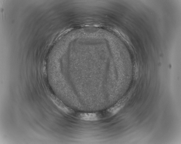 X0000085810361200704131952