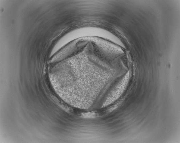 X0000085810362200704131952