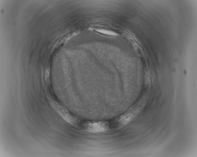 X0000085810365200704131952