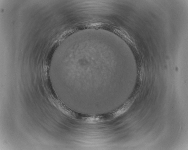 X0000085810366200704131952