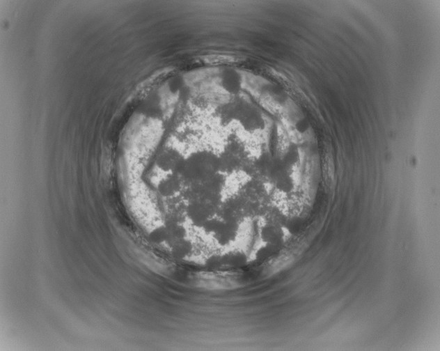 X0000085810367200704131952