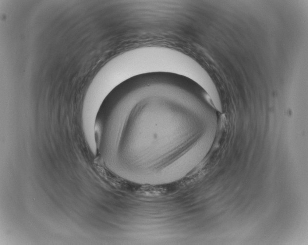 X0000085810368200704131952