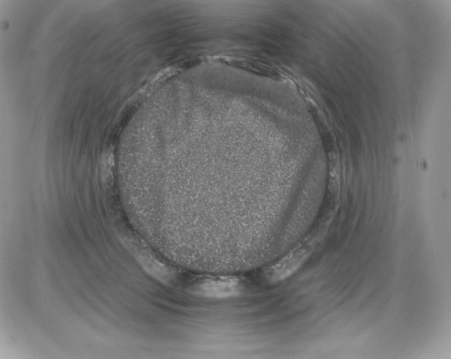 X0000085810369200704131952