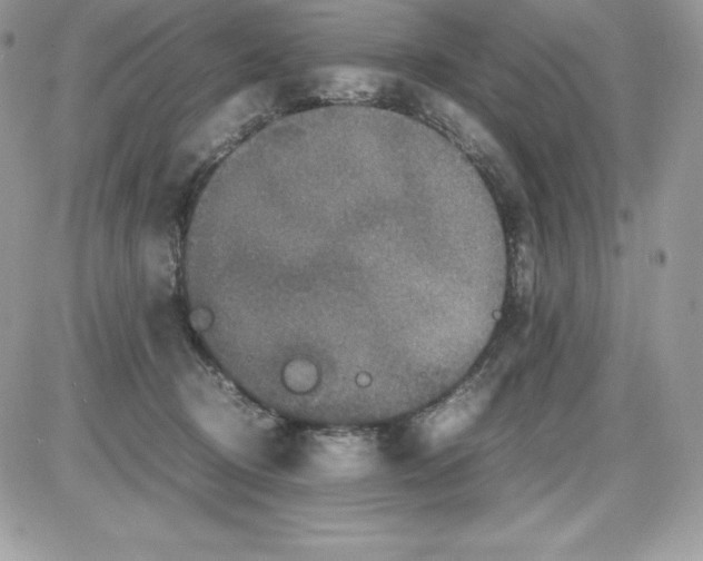 X0000085810370200704131952