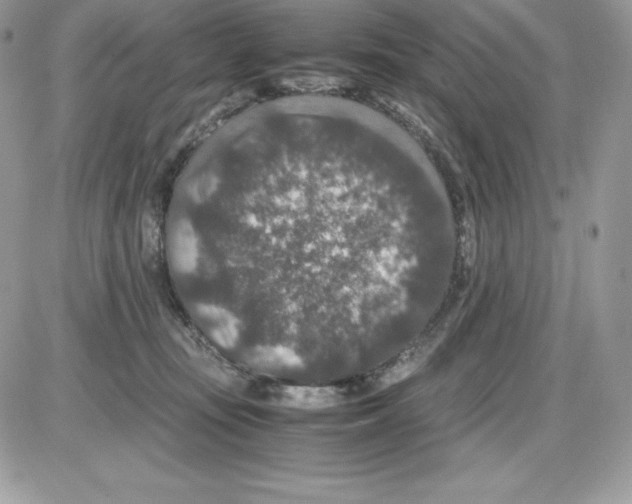 X0000085810371200704131952