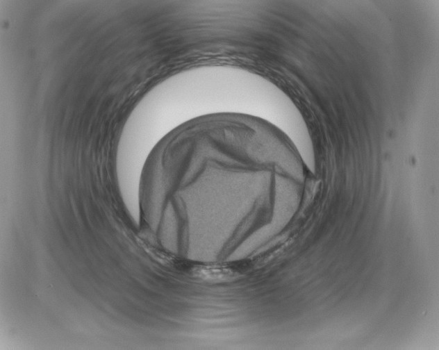 X0000085810372200704131952