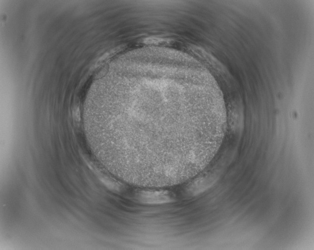 X0000085810375200704131952