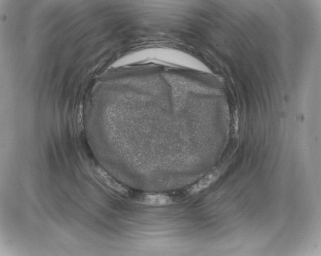 X0000085810376200704131952