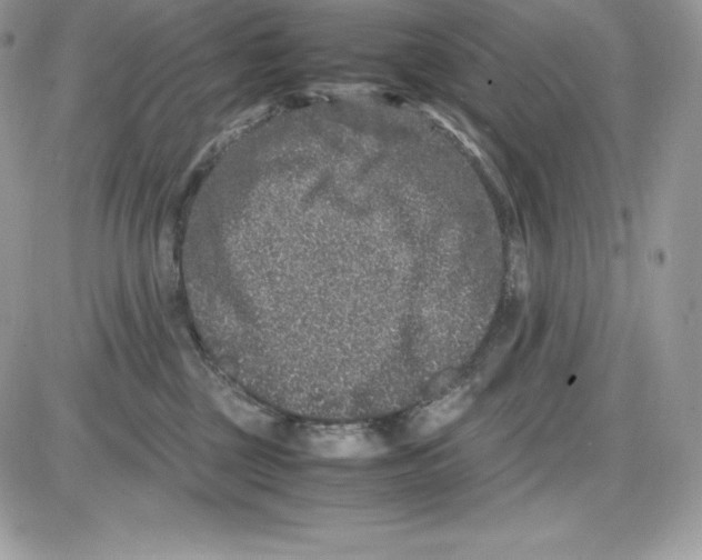 X0000085810377200704131953