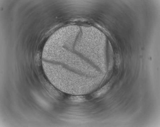 X0000085810378200704131953