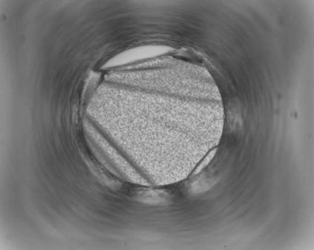 X0000085810379200704131953