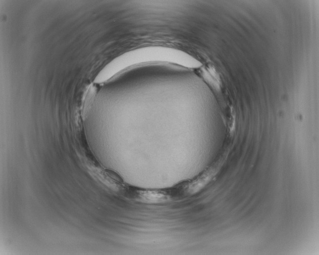 X0000085810380200704131953