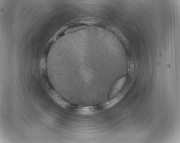 X0000085810382200704131953