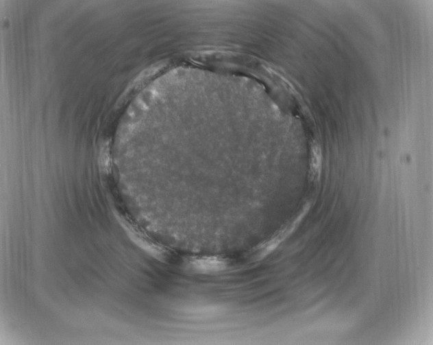 X0000085810383200704131953