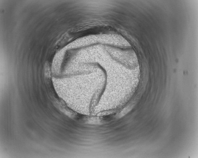 X0000085810384200704131953