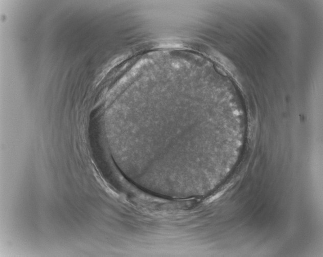 X0000085810385200704131952