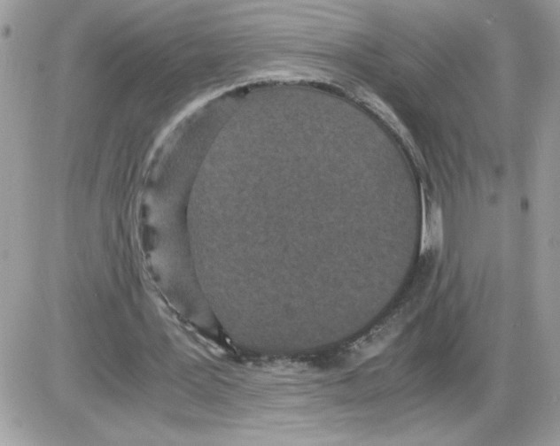 X0000085810387200704131952